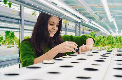 Illustration de contact